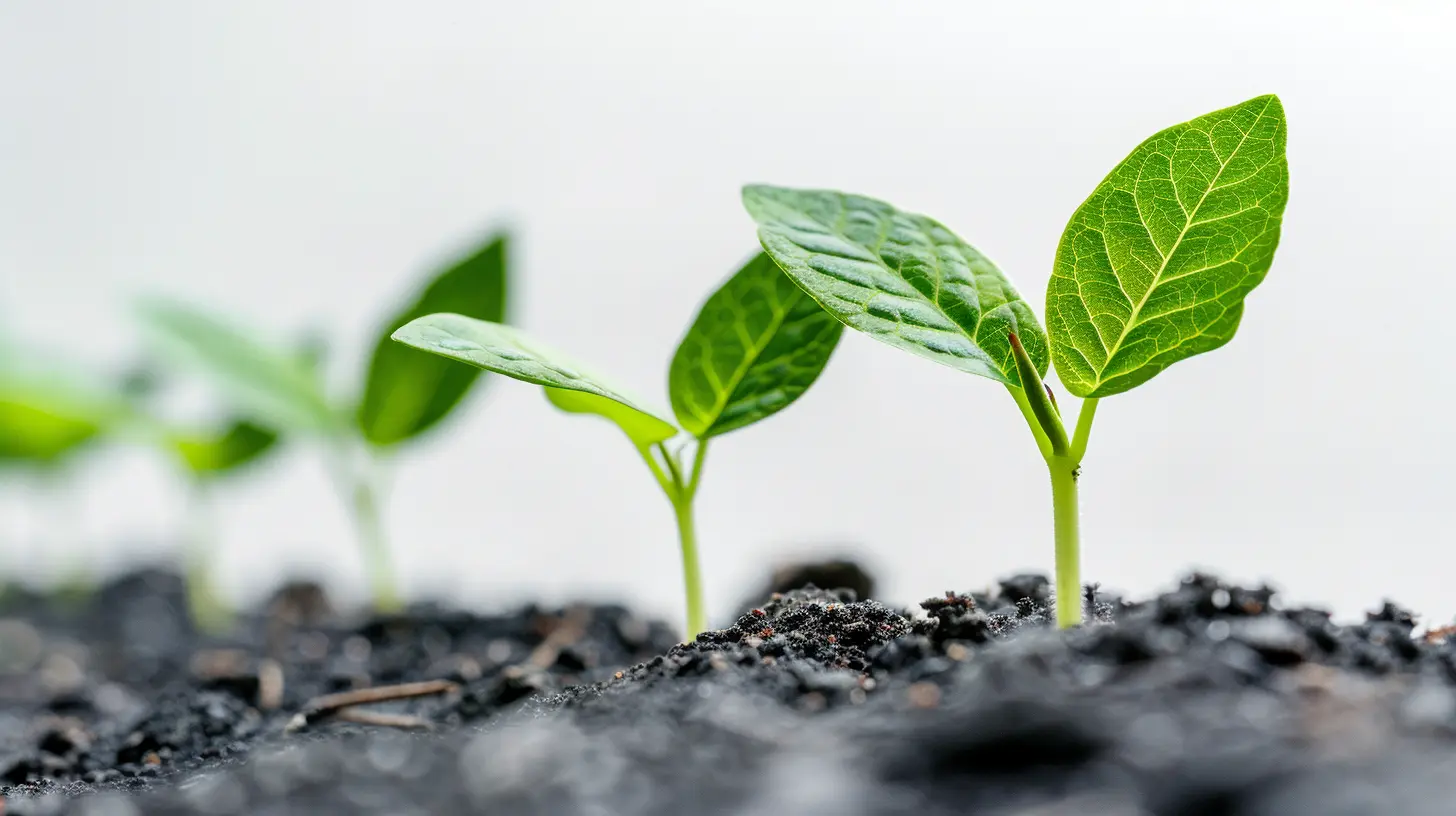 Building a Resilient Business Model Through Sustainable Practices
