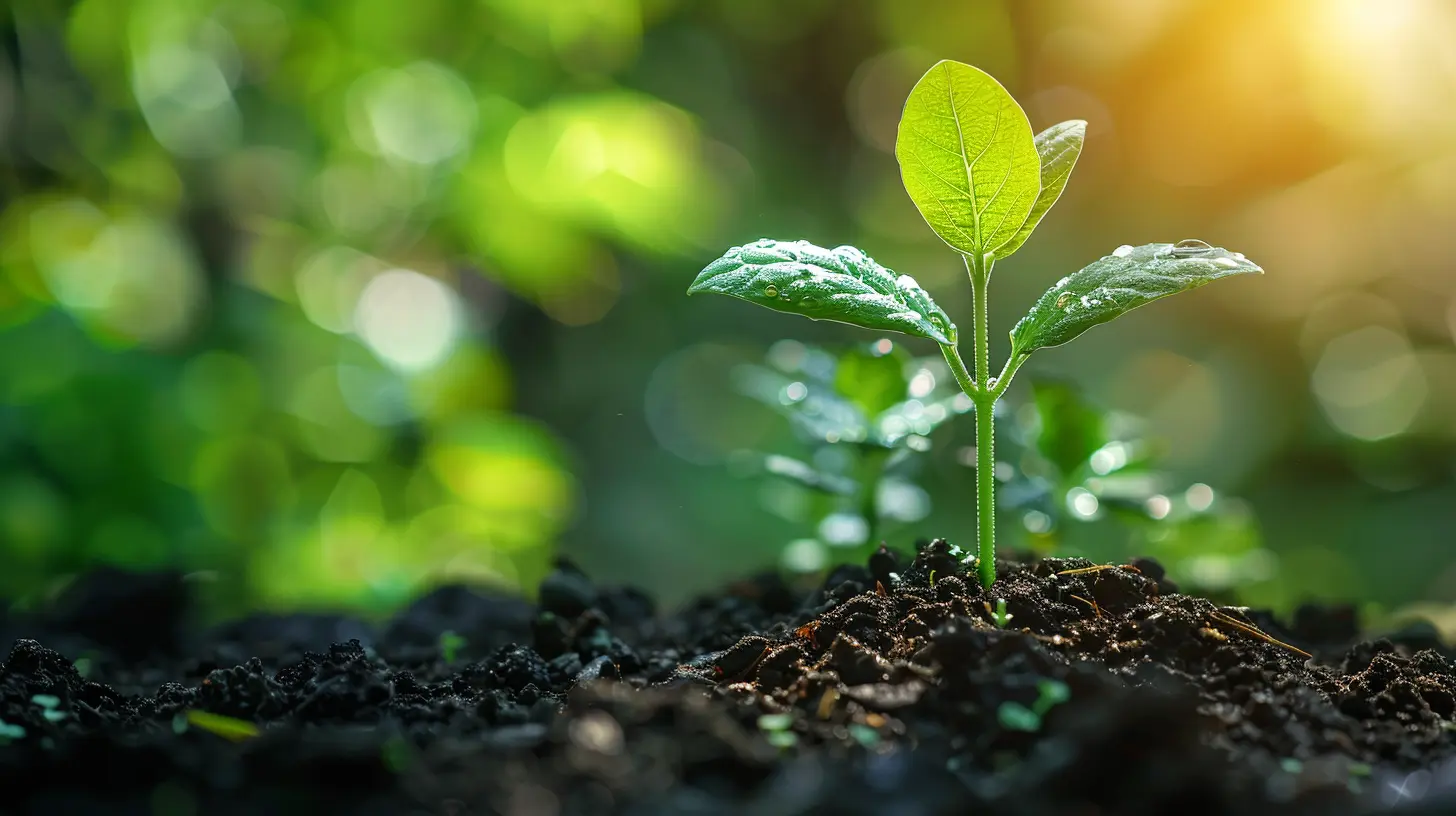 Growth Through Customer Acquisition: Strategies from Fast-Growing Companies