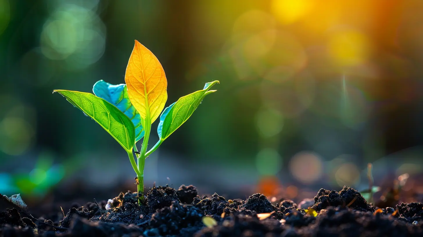 How to Grow Your Email List Using Lead Magnets