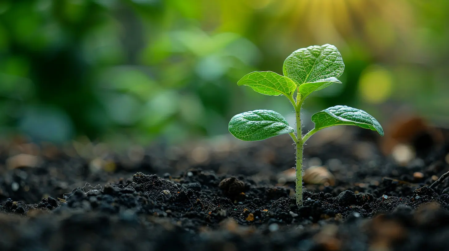 The Rise of Purpose-Driven Brands: What Sustainability Means for Marketing