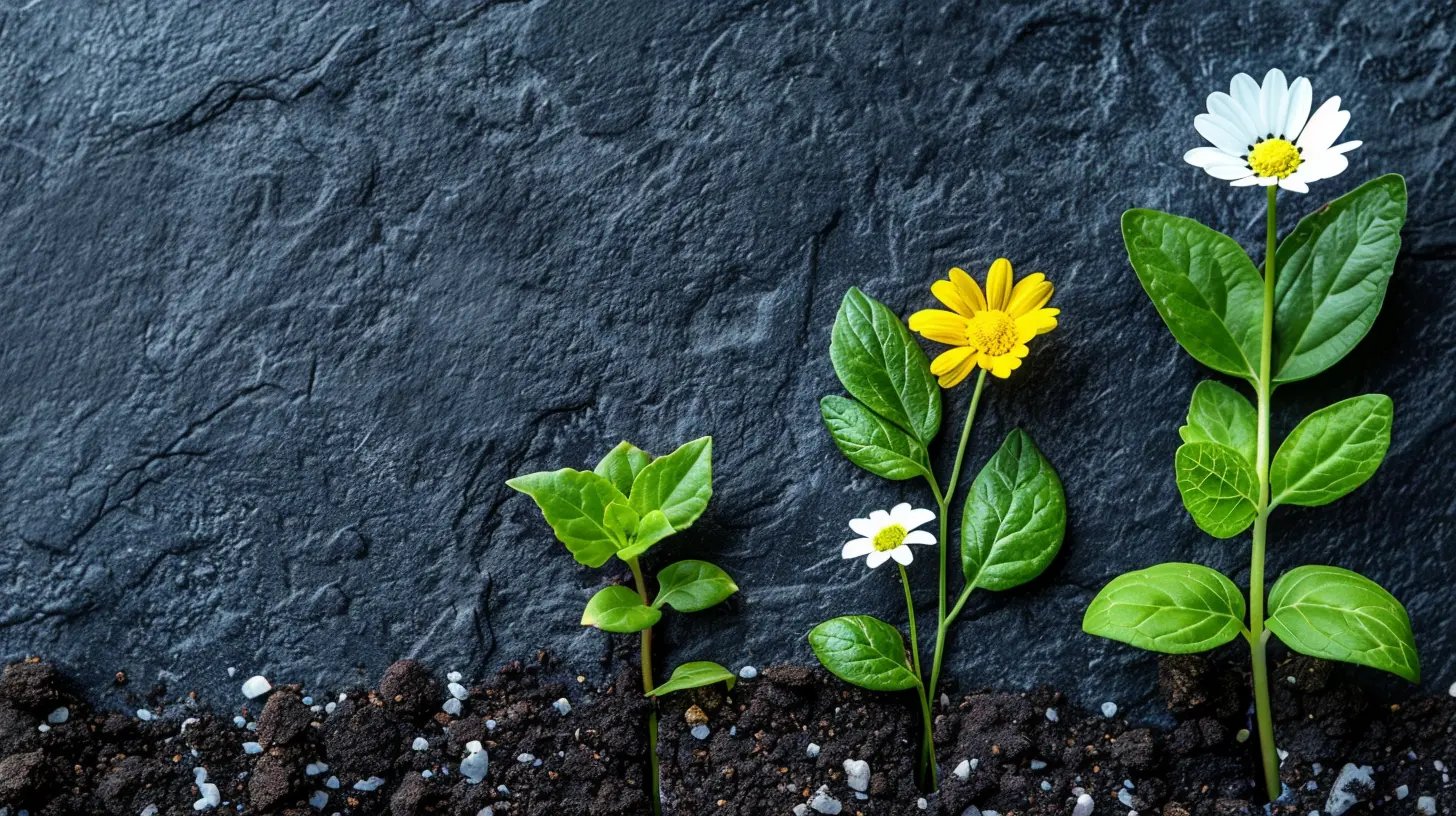 Why Customer Segmentation is Crucial for Acquisition Success