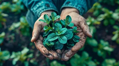 Greenwashing vs. Genuine Sustainability Efforts