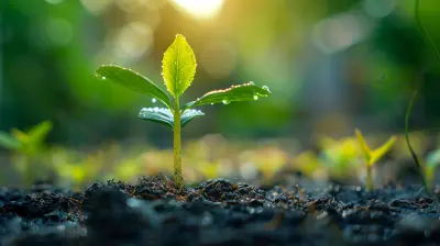 How to Capitalize on Consumer Trends Toward Sustainability