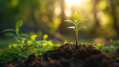 Outsourcing as a Powerful Growth Strategy