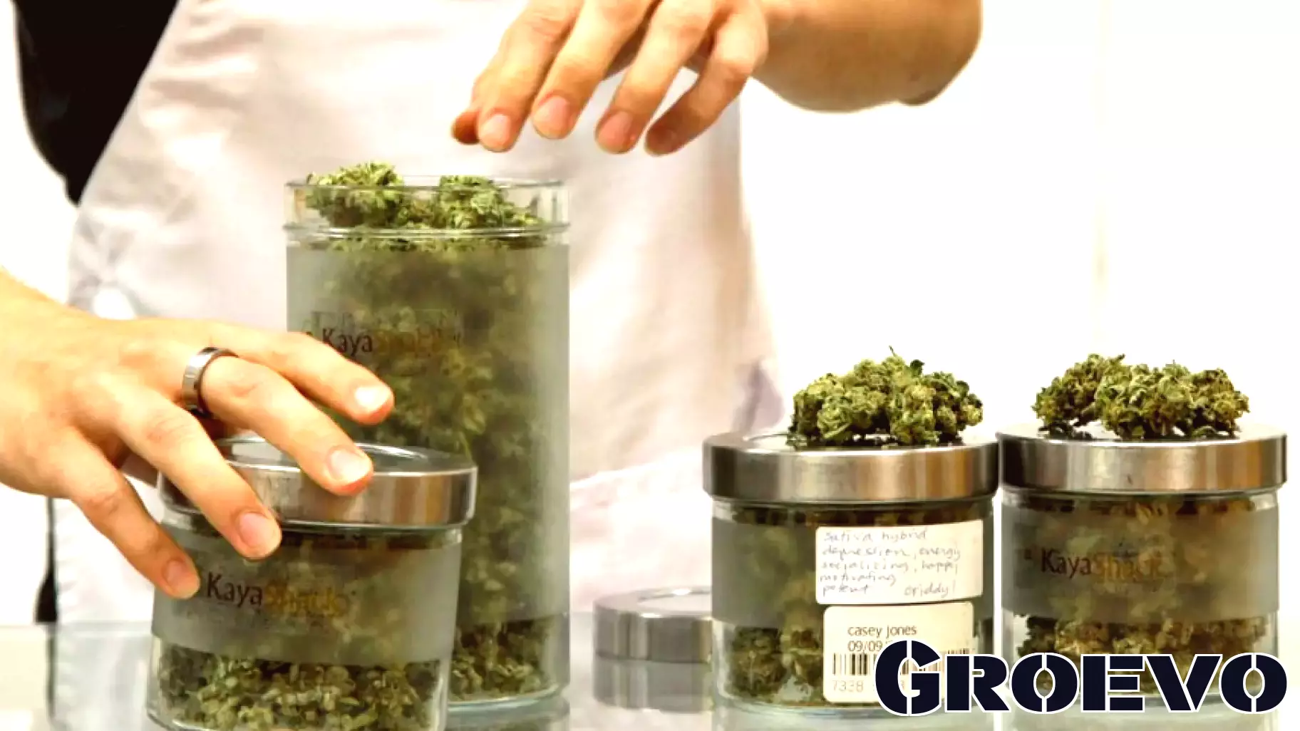 Decline in Crime Reports Among Portland Cannabis Businesses