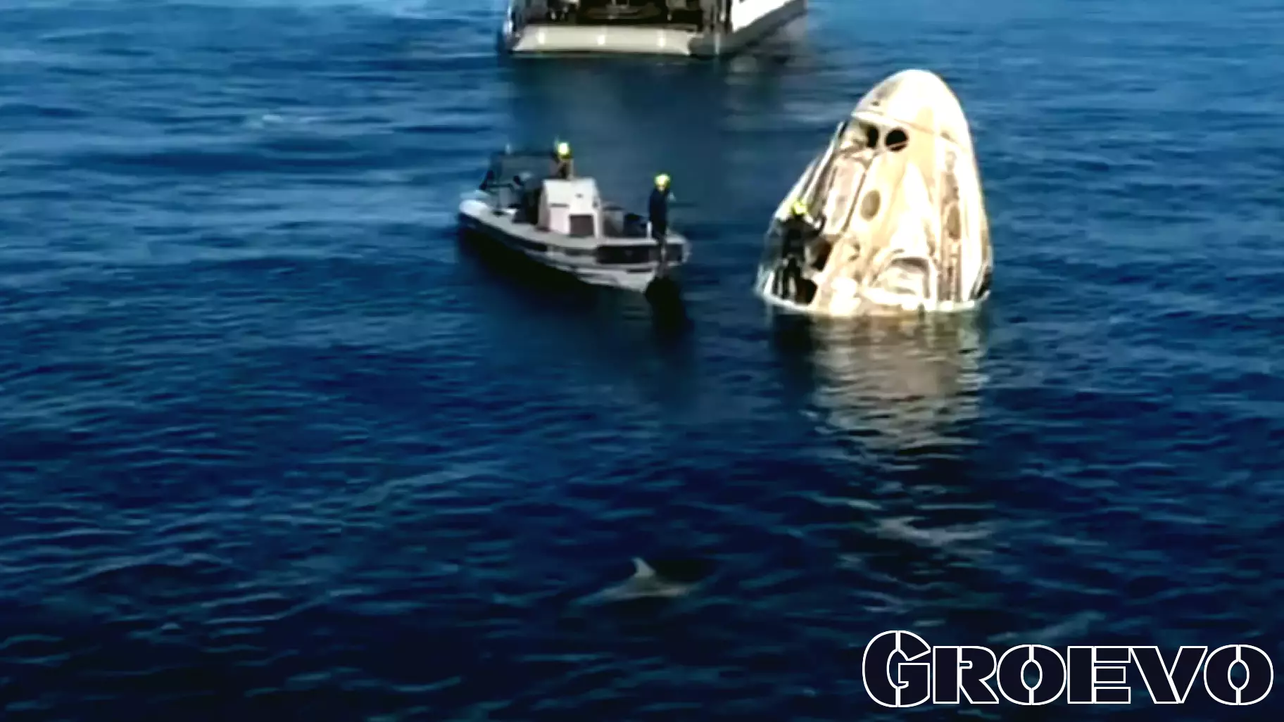 Dolphins Greet NASA Astronauts Upon Their Return from Space