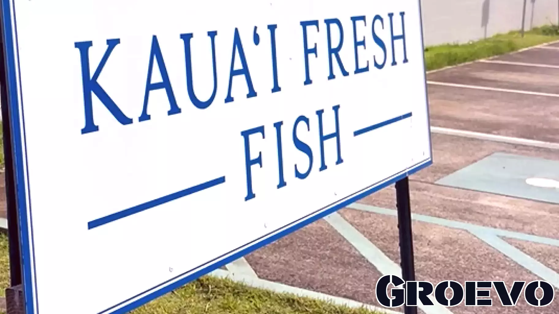 Kauai Businesses Face Long Wait for Hurricane Lowell Aid