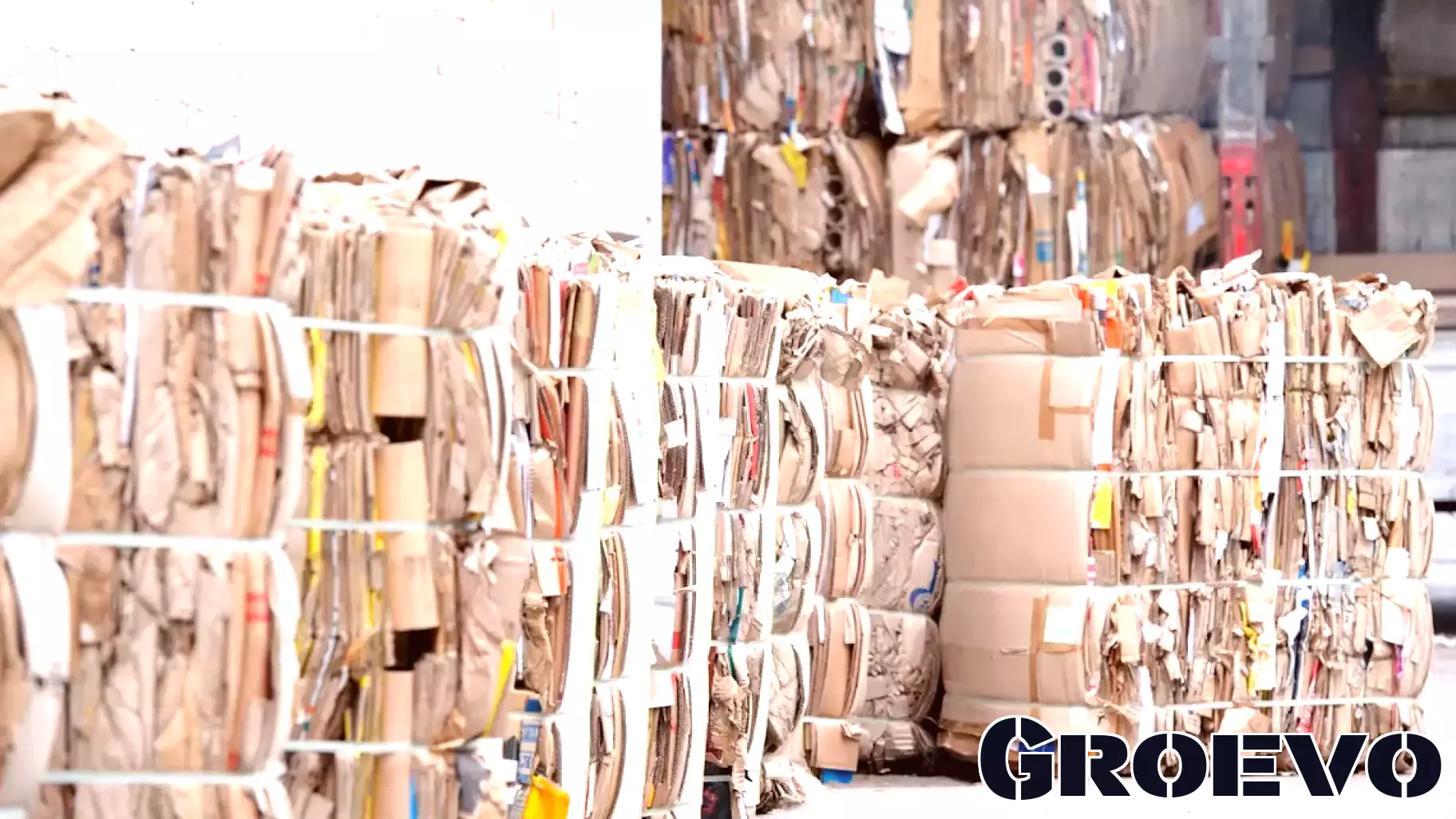 Sisters defy stereotypes to carry on family legacy with successful recycling business