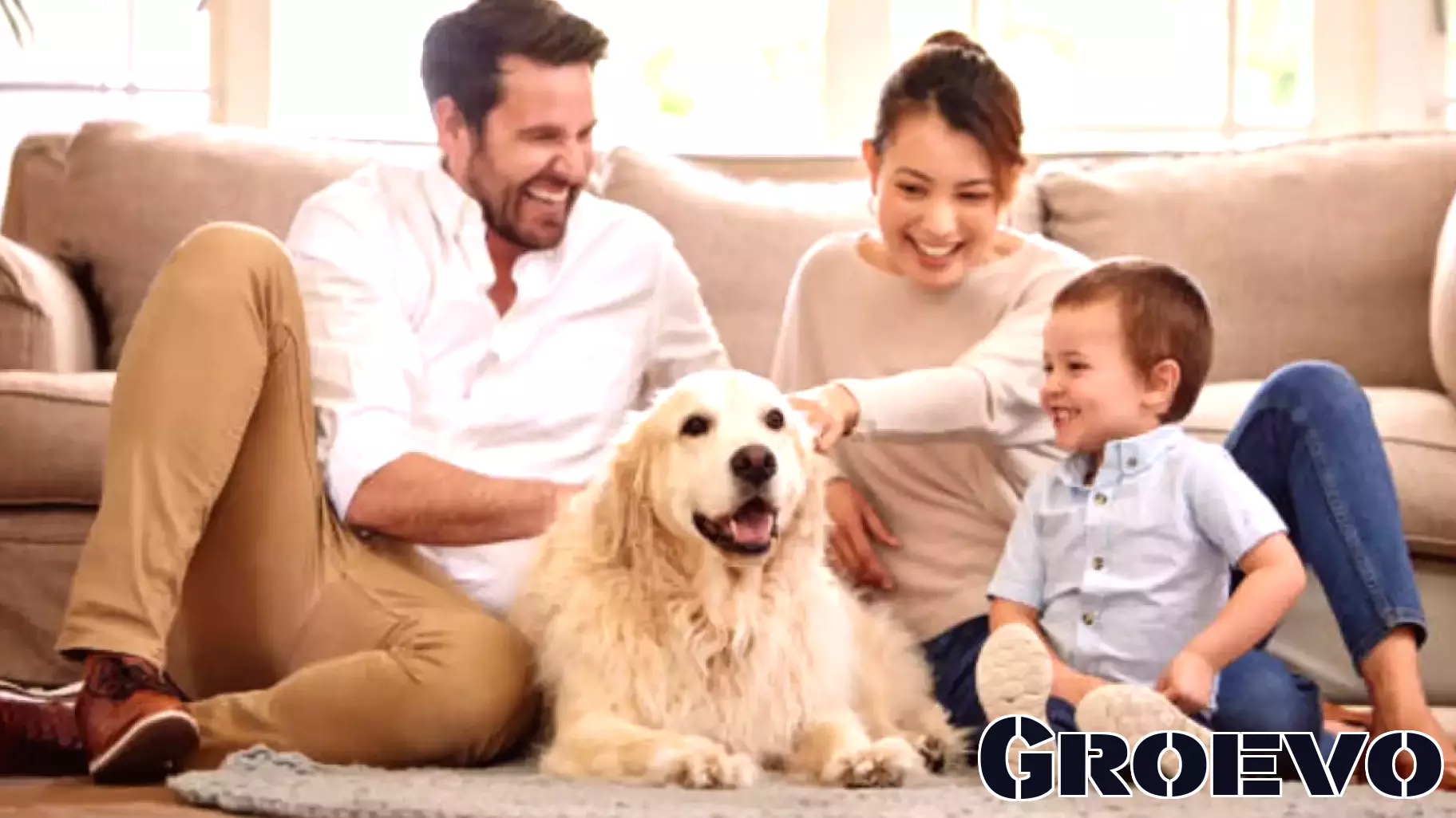 Stricter Disclosures and Education Proposed for Pet Insurance in Florida