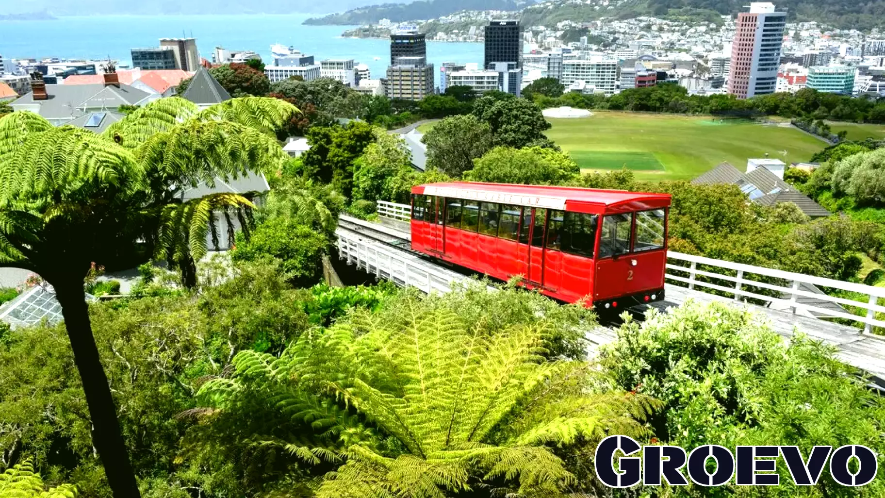 Surge in Business Confidence and Consumer Optimism Signals Economic Growth in New Zealand