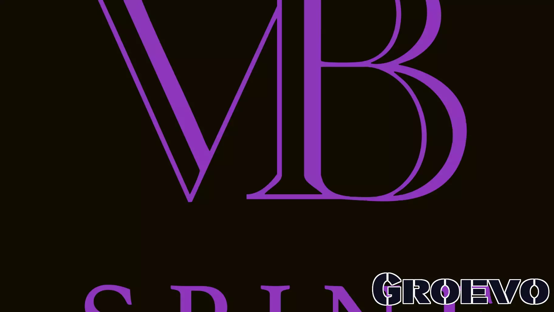 Viscogliosi Brothers Launch VB Spine Following Acquisition of U.S. Spine Business