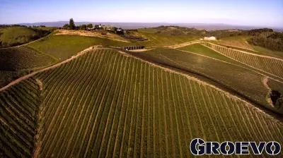 Central Coast Wineries Adjust Business Models to Deal With Downturn