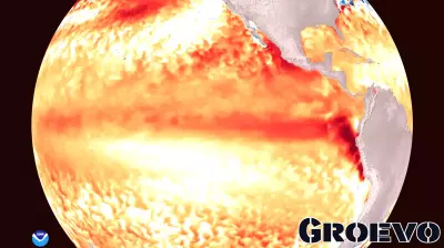 El Niño Is Back—and It Could Cost Businesses Trillions. What Smart Leaders Are to Prepare