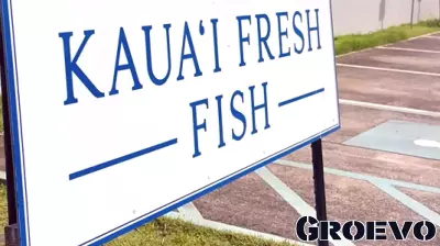 Kauai Businesses Face Long Wait for Hurricane Lowell Aid