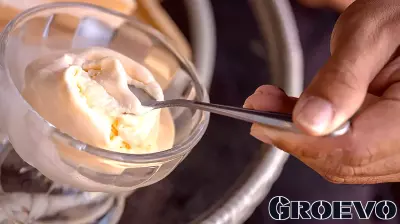 Recall Issued for So Delicious Frozen Dessert Over Possible Stones