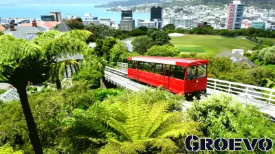 Surge in Business Confidence and Consumer Optimism Signals Economic Growth in New Zealand