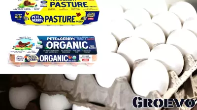 Thieves Steal 100,000 Organic Eggs Worth $40,000 in Pennsylvania